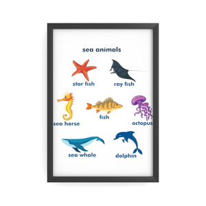 Sea Animals Poster