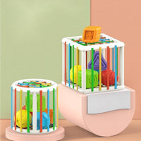 Baby Sorter Toy Colorful Cube Cylinder and 6 Pcs Multi Sensory Shapes